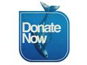 Pacific Whale - Donate Now
